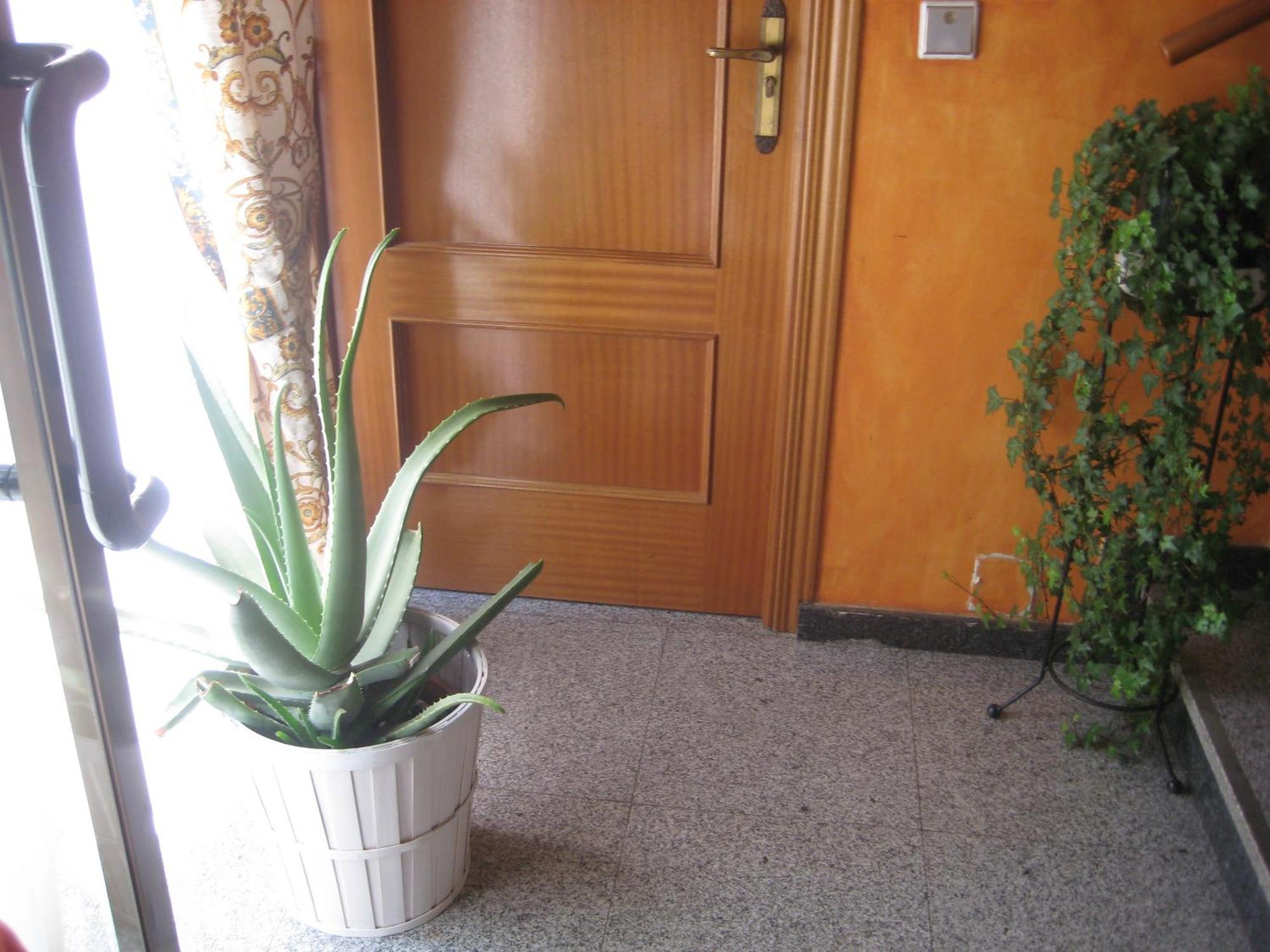 Hostal El Pinar Ávila エクステリア 写真